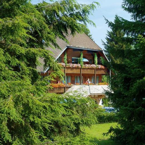 Hotel Garni Seebachstueble Titisee-Neustadt Exterior foto